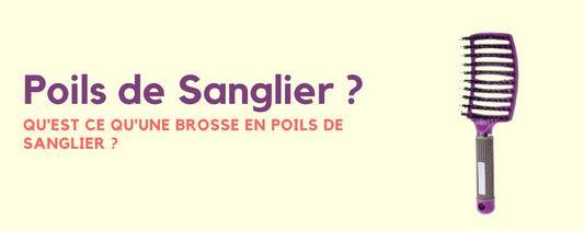 brosse en poils de sanglier